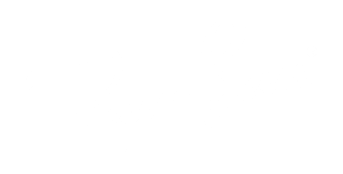 Ray Ban